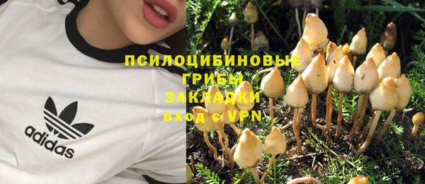 гашик Тында