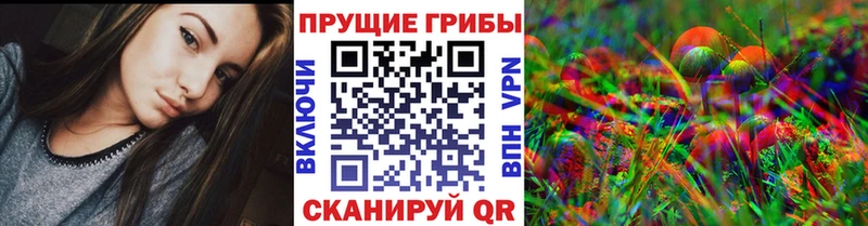 Галлюциногенные грибы ЛСД  купить закладку  ОМГ ОМГ tor  Красный Кут 